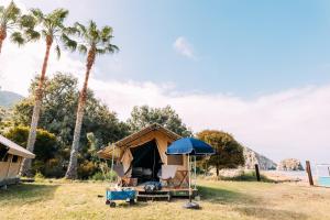 White’s Landing Catalina Camp