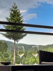 Apartament Złoty Las Karpatia