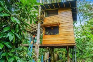 Gecko Treehouse with Jungle View, Plunge Pool & WiFi