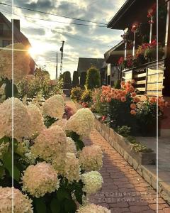 Gospodarstwo Agroturystyczne u Zosi Kowalczyk