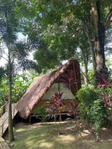 La Bonita Luxury Ecohotel