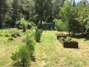 Maisons de vacances Charmante Maison en pleine nature avec piscine : photos des chambres