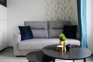 LE156 Studio Cosy Thermes, Piscine & Box Privé