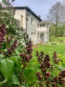 Slow life Karkonosze