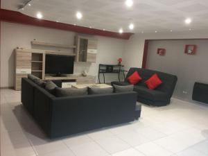 Spacieux appartement dans le vignoble