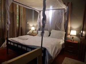 Jangwani River View Suits