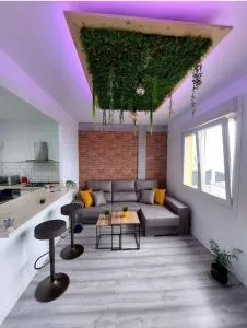 El nido de la gaviota - Moana