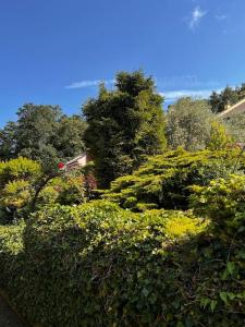 Holiday Home - Italo & Dada