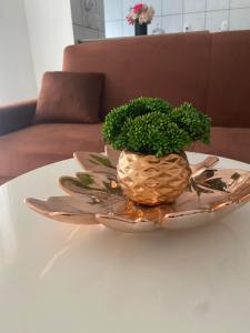 Apartamento, ótima Localização