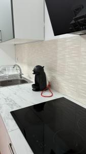 G B Cluj Center Apartments