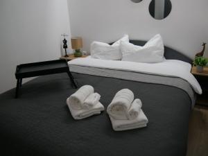 Free Garage in the Center-Delicia 4 ApartHotel