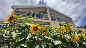 Casa Malee - 4hvězdičkové hotely ve městě Calheta