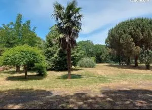 Évasion Naturelle dans notre Cottage Enchanté - Castéron