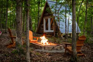 tiny A frame in the woods