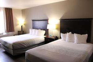 Queen Room with Two Queen Beds - Non-Smoking room in Econo Lodge Gunnison
