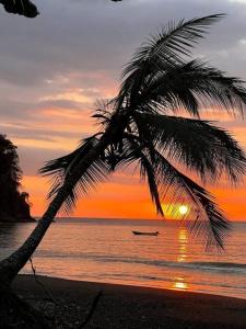 Ohana Beach House Costa Rica