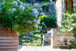 Kalderimi Country House Pelion Greece