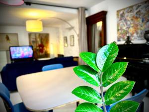 Large Studio North Marais