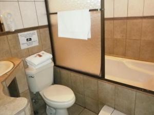 Hotel Cibeles Resort