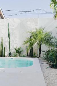 Casa Vay - Luxury Home 3 Bedrooms with Rooftop