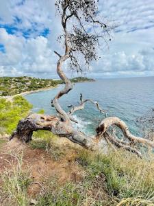 Maisons de vacances Au calme des Pins avec vue mer : photos des chambres