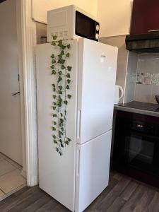 Bel appartement T3 pour 46 personnes proche centre climatisation