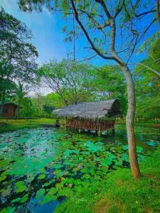 Nuwa Serenity River Retreat - 恩比利皮蒂耶