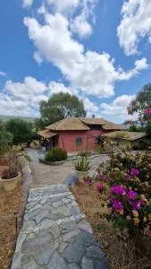 Nectar Rentals - 迈索尼