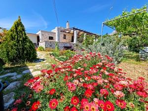 Sevis Traditional House