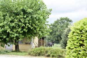 Appartements Gite Au Tranquillou : photos des chambres