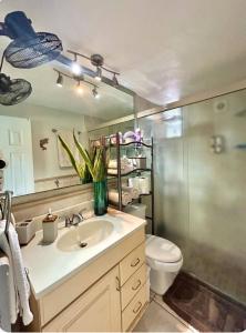 El eden de Puerto Vallarta