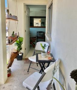 El eden de Puerto Vallarta