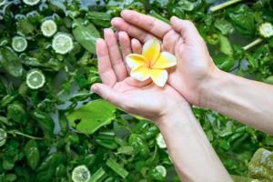 Liam 1 BR Bamboo Private Pool Villa JU63