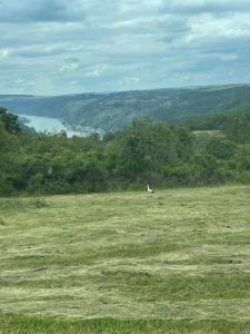 Ferienwohnung Retzbachtal