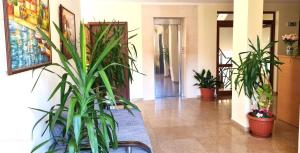 Summer Breeze Apartments