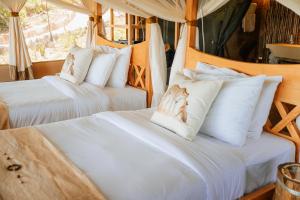 Soroi Cheetah Tented Camp