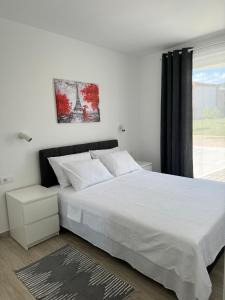 Apartman Vasa Srebrno Jezero