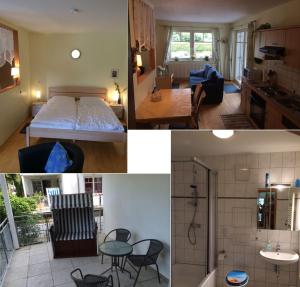 Pelikan - Arkonablick