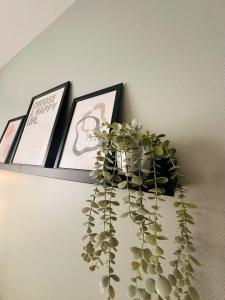 Appartements Orleans - Appartement T2 avec parking prive - Douce Harmonie : photos des chambres