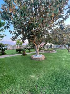 Mama’s Sunshine Garden Villa