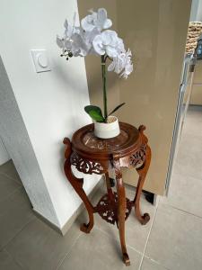 Appartements La Veranda de la mouette : Appartement 2 Chambres