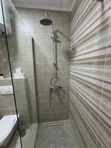 Apartman Vasa Srebrno Jezero