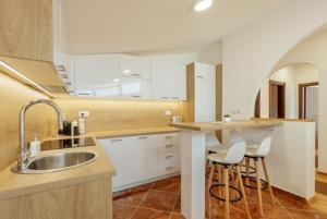 Vasiljevic Grand Apartment