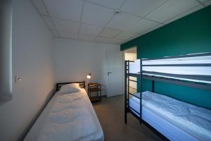 Chalets Le chalet de l-amicale : photos des chambres
