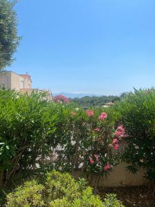 Maisons de vacances Maison 6 personnes au calme 6MERL10 : photos des chambres