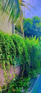 Hoi An Mountain House Villa