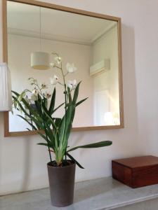 maison 3 chambres centre ville, jardin et bassin privatifs