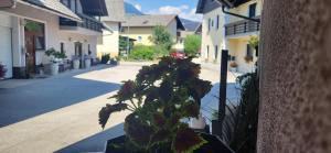 Rooms & Apartments Kepic, AIRPORT accomodation