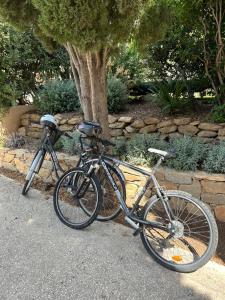 Villas VILLA 4* avec PISCINE dans le bas du village de BORMES les MIMOSAS : photos des chambres