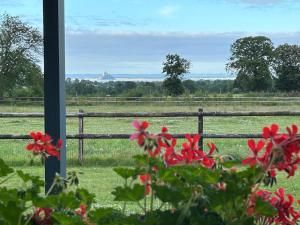 B&B / Chambres d'hotes La Bretonniere : photos des chambres
